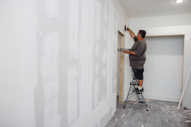 Best Mold Prevention Services  in Meridianville, AL