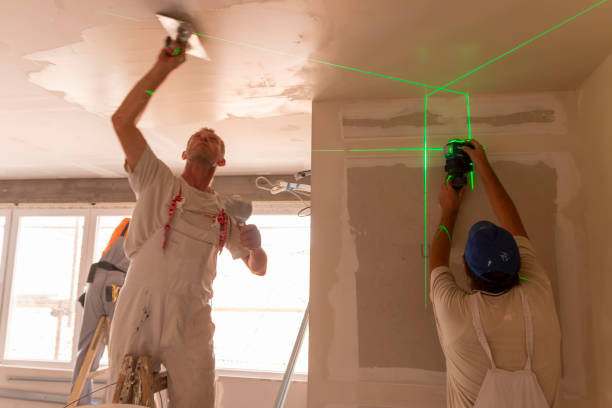 Best Water Damage & Mold Remediation  in Meridianville, AL