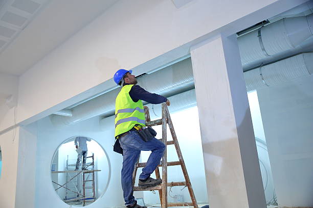 Best Emergency Mold Remediation  in Meridianville, AL