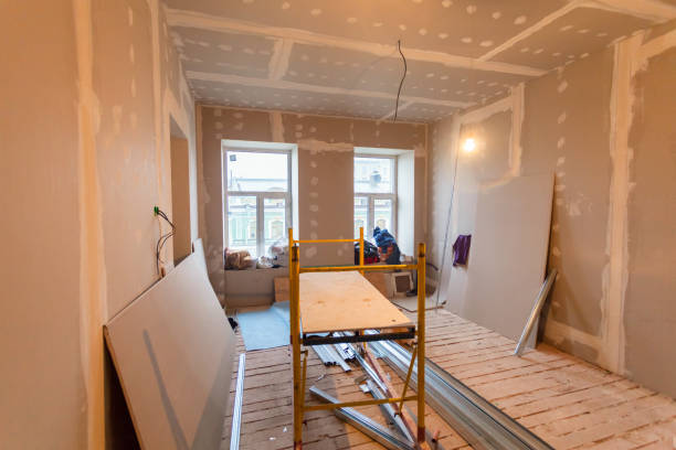Best Mold Documentation for Insurance Claims  in Meridianville, AL