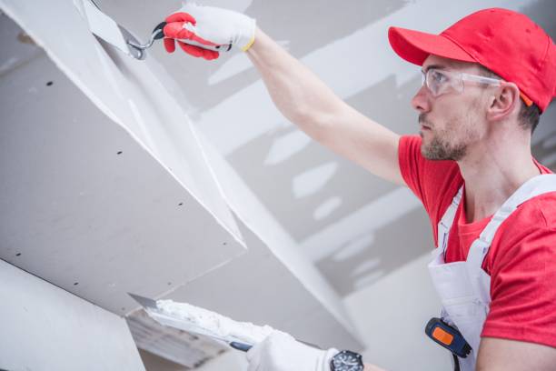 Best Attic Mold Removal  in Meridianville, AL
